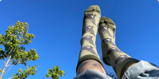 Model wearing wolf bamboo socks