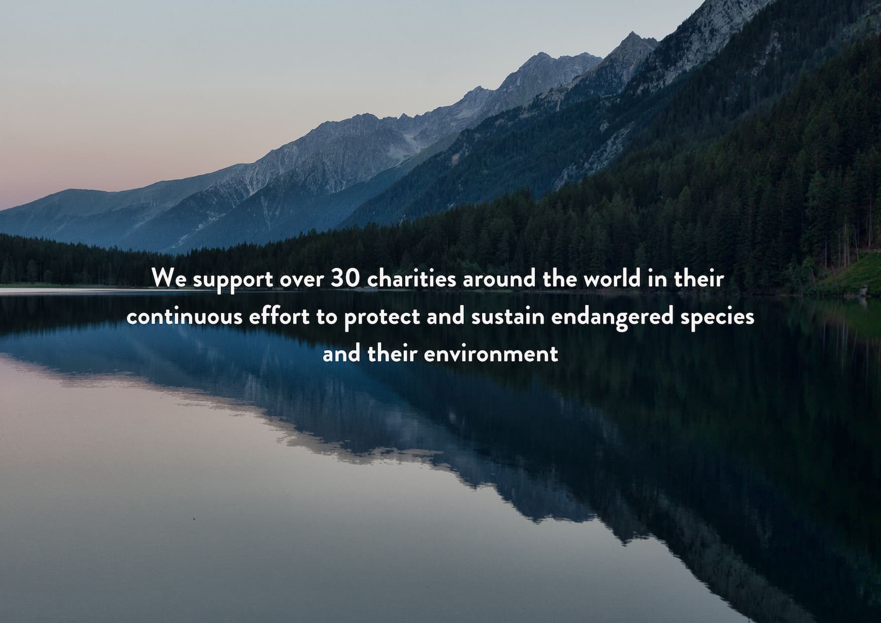 Impact report, Charities