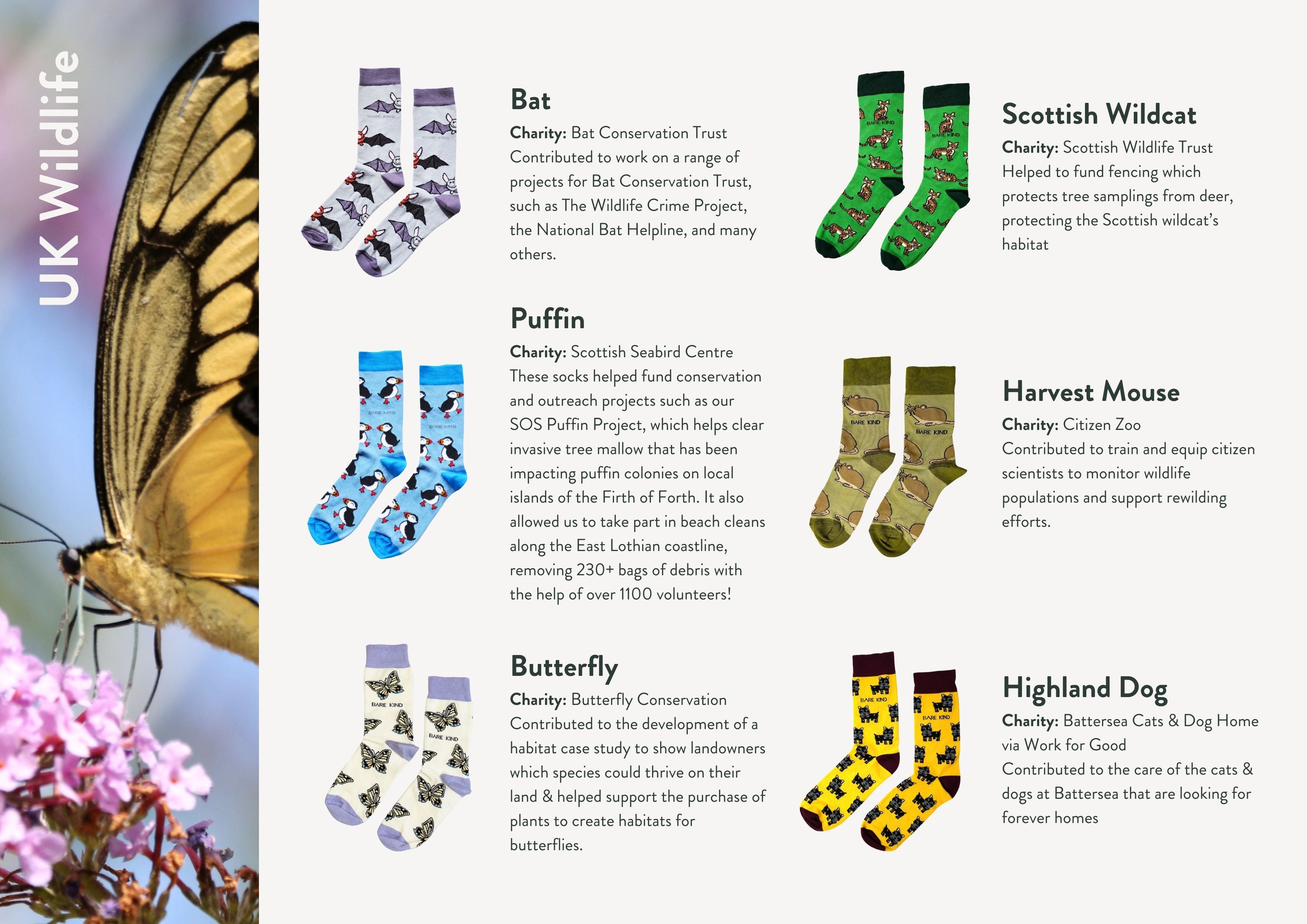 Impact report charities, animals and socks