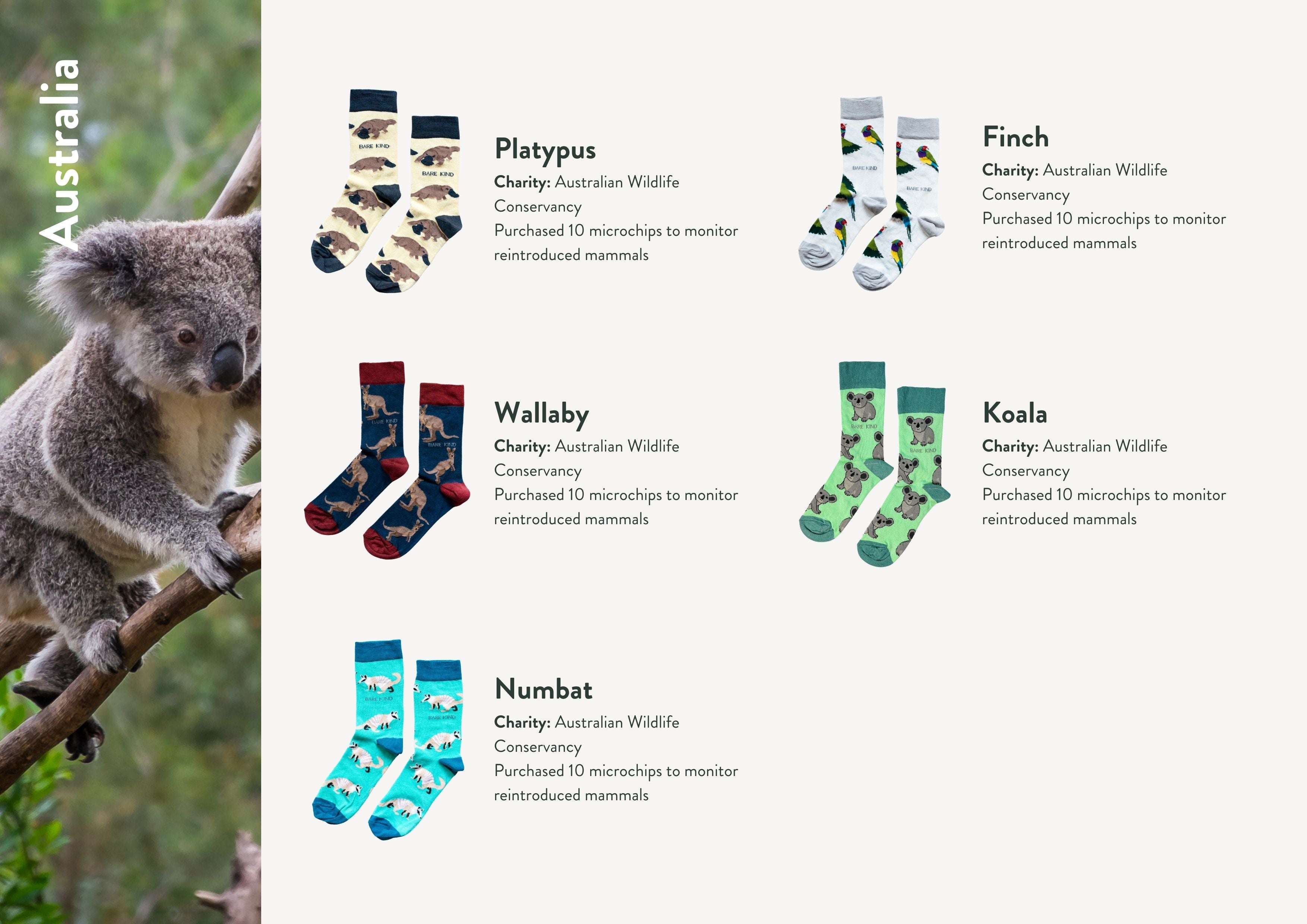 Impact report charities, animals and socks