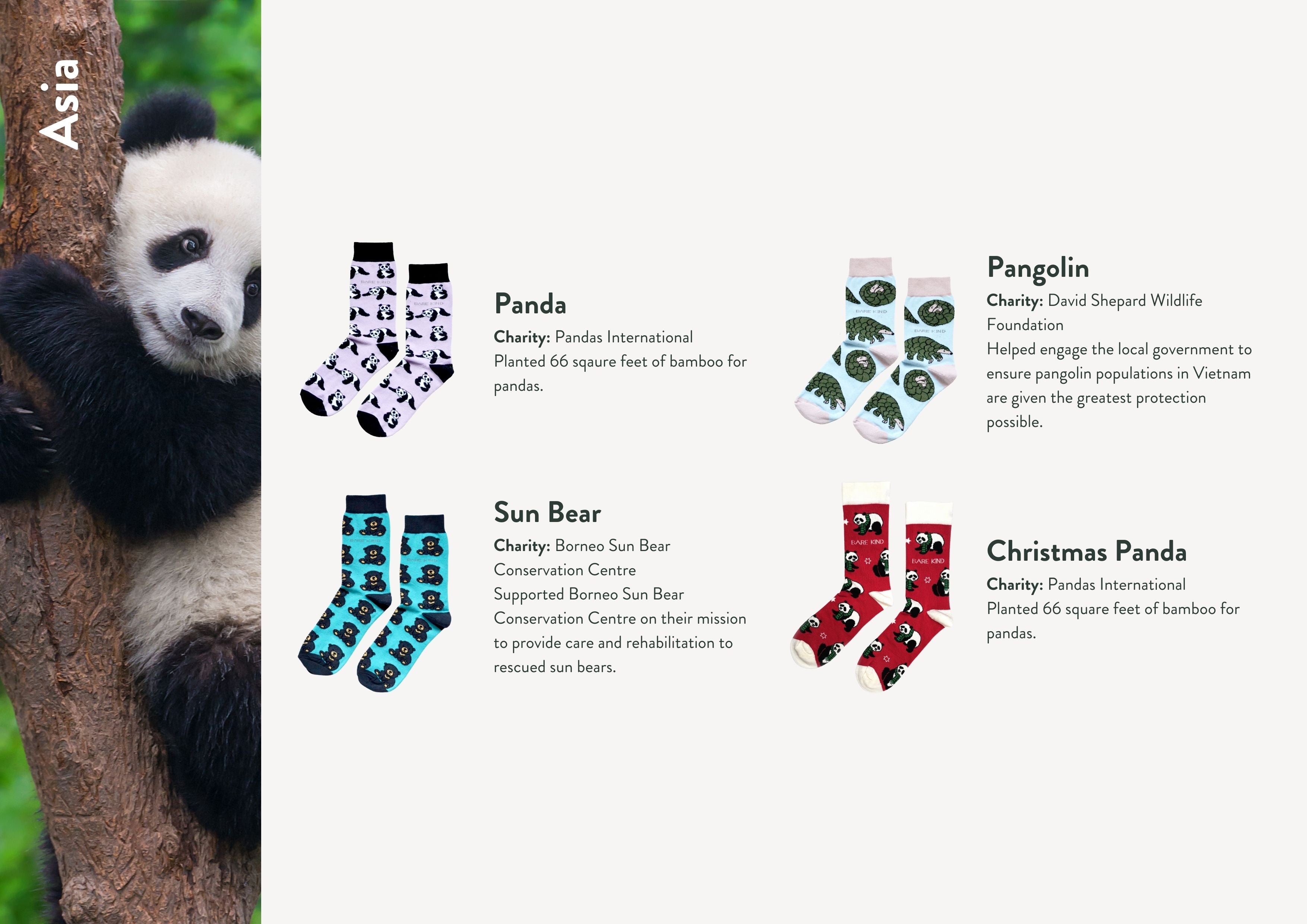 Impact report charities, animals and socks