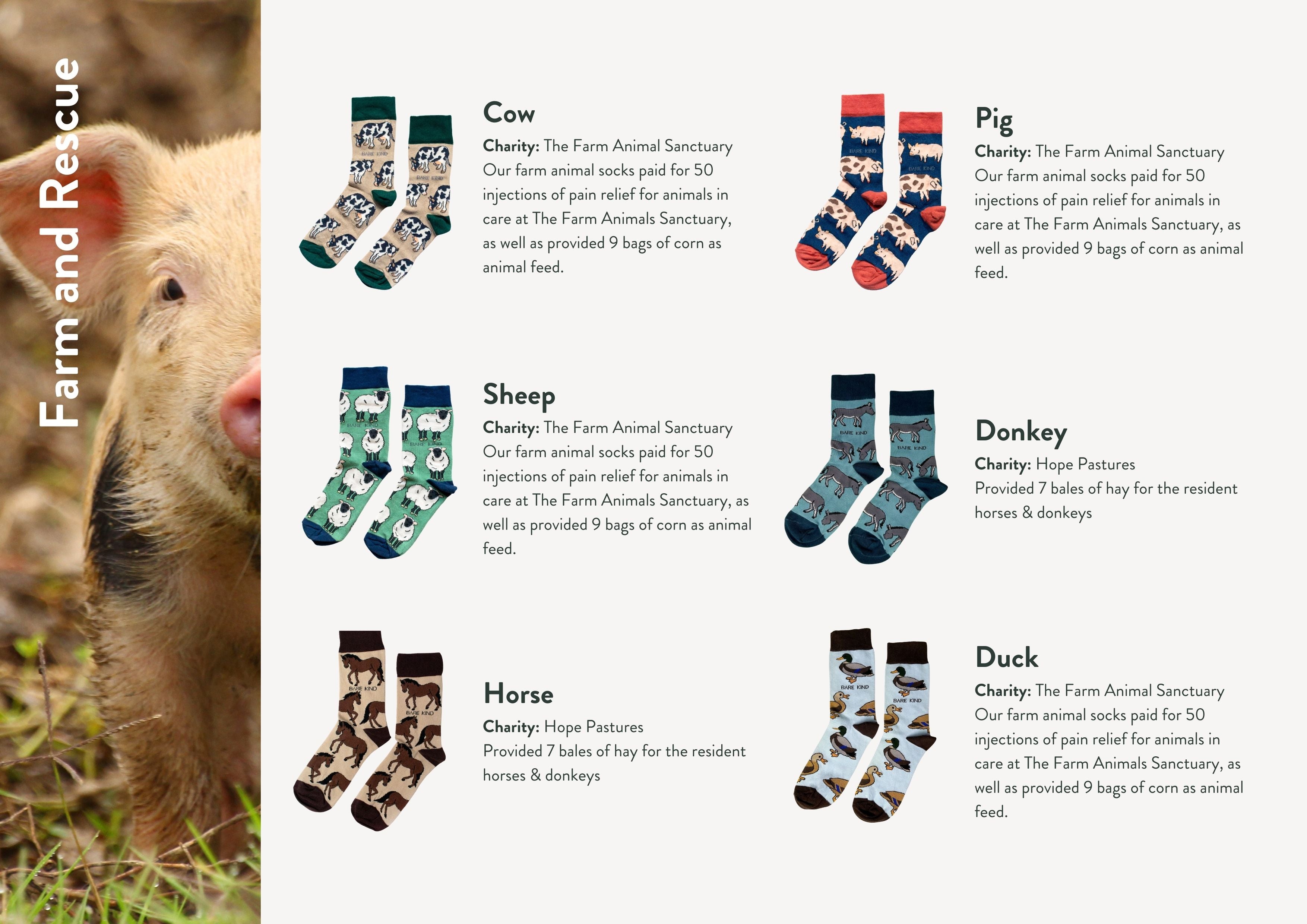 Impact report charities, animals and socks