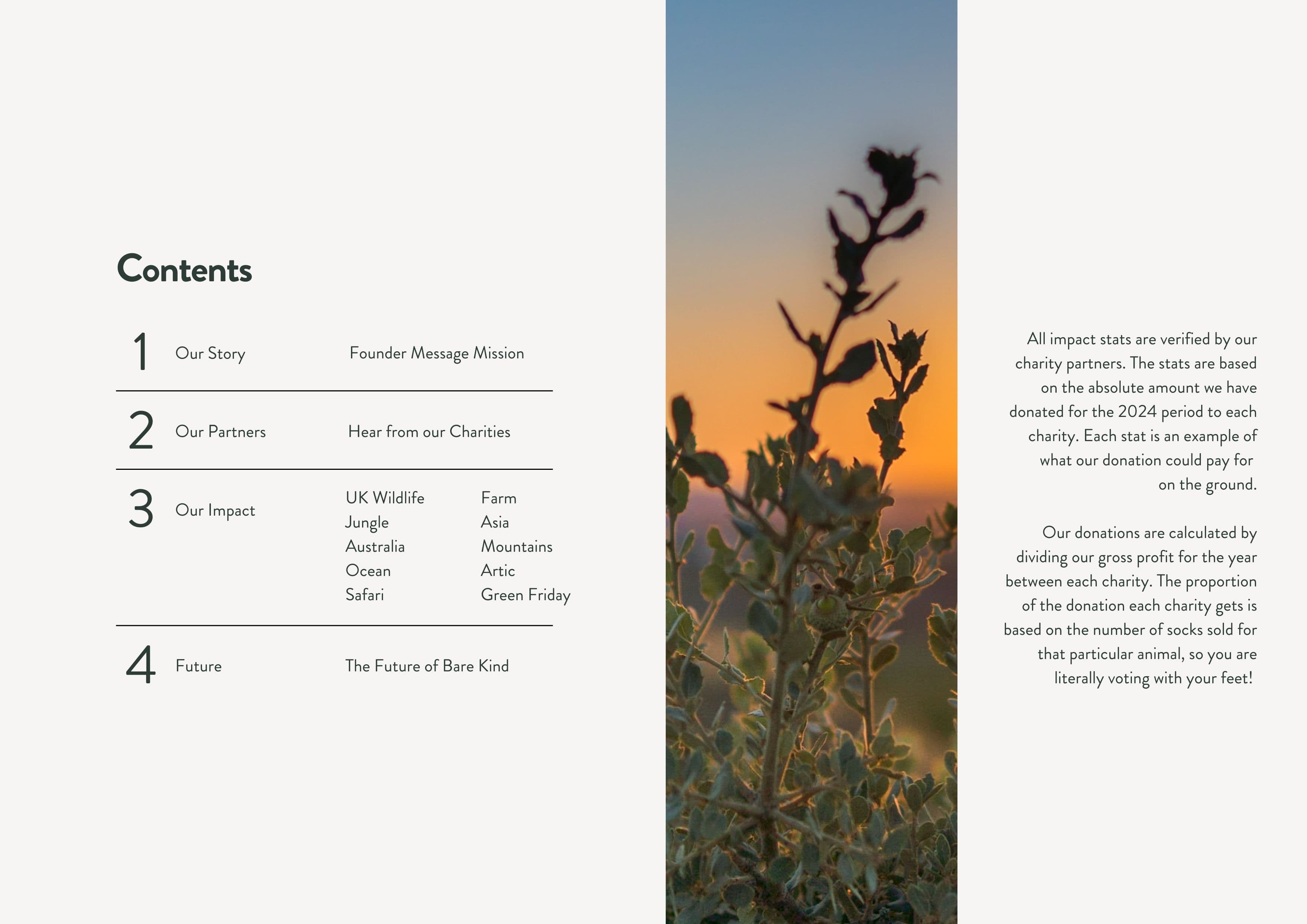 Impact report Content page