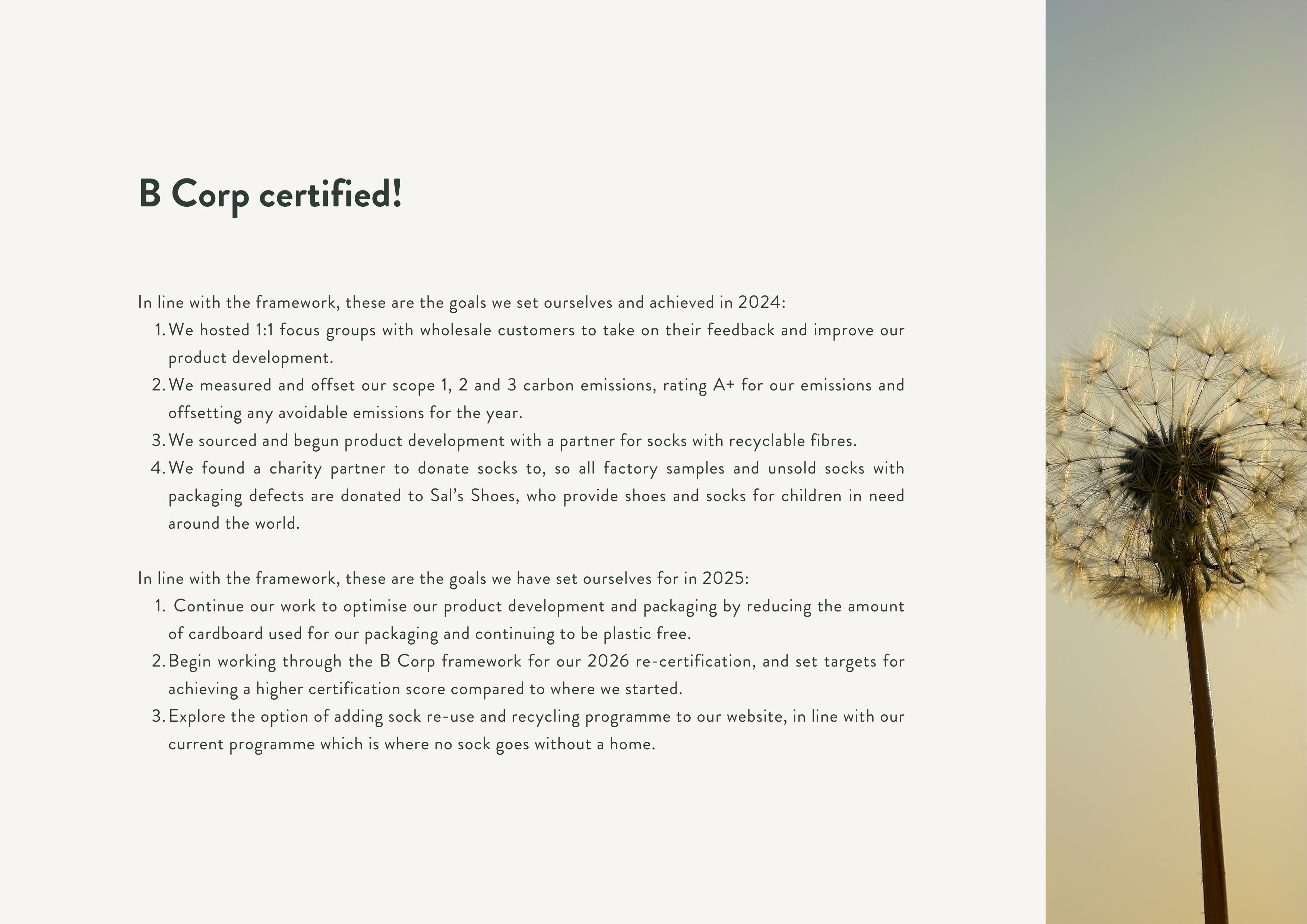 Impact report B Corp certified