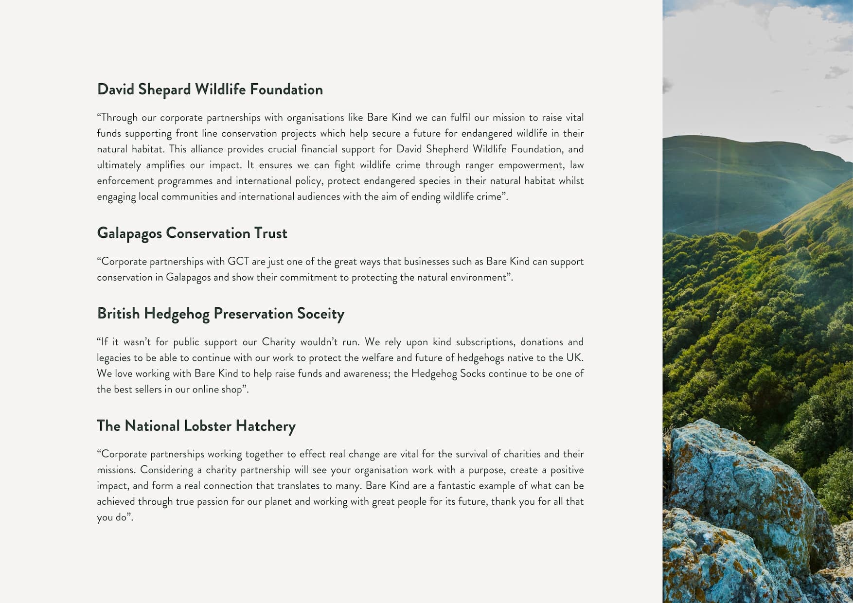 Impact report, Hear from our charities