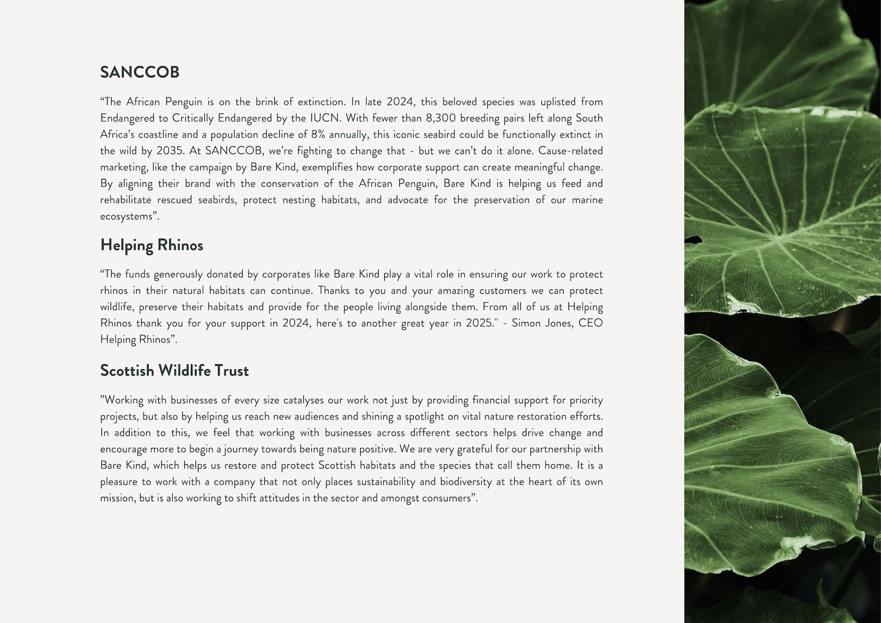 Impact report, Hear from our charities