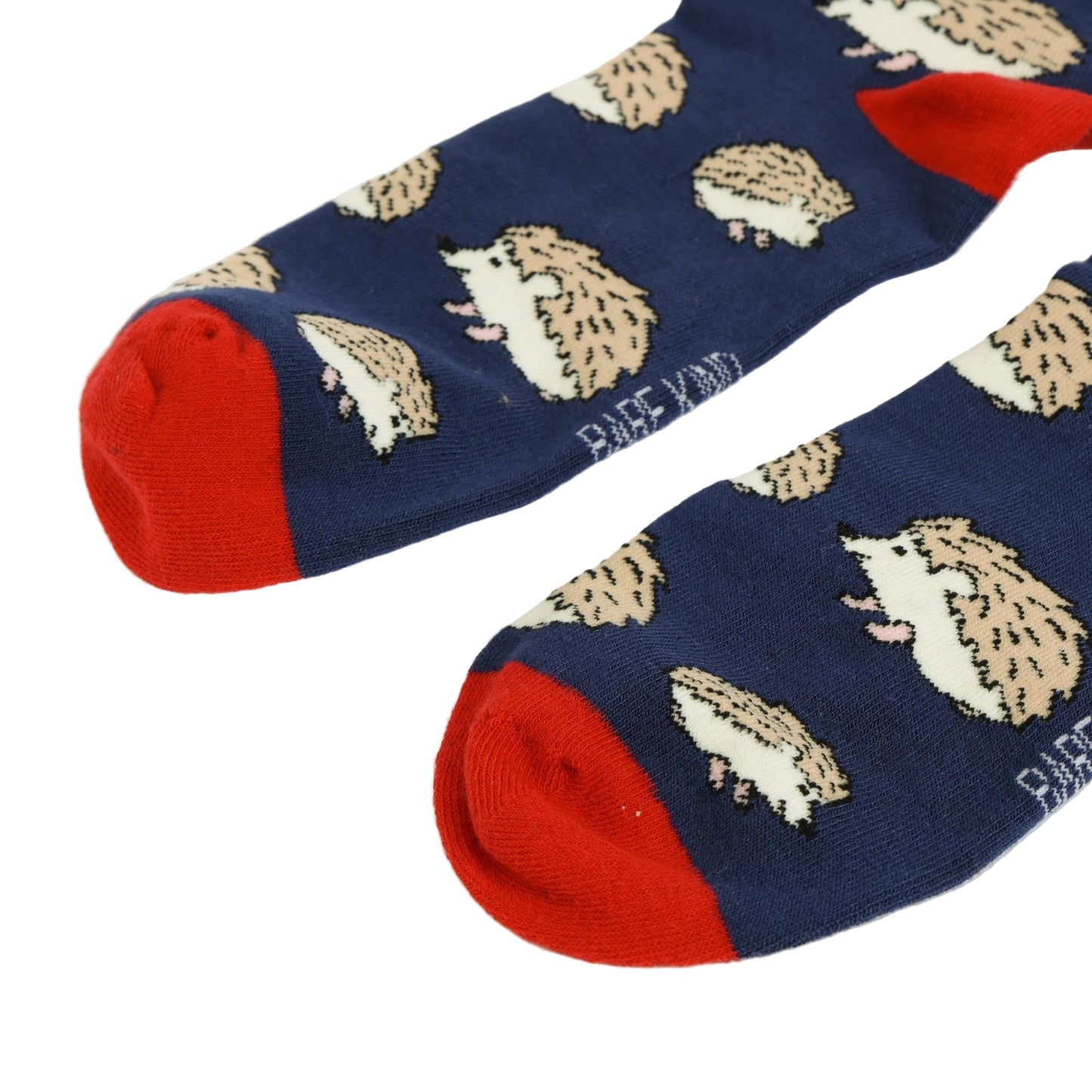 Navy socks with beige hedgehog pattern and red toes on a white background