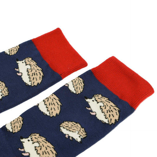 Pair of socks with hedgehog pattern and red cuffs on a white background