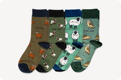 Multipack of Bamboo Socks