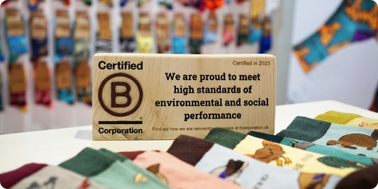 What are B Corp Business and Why Buy From Them?