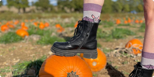 Person wearing black boots and purple Bats bamboo socks on a pumpkin patch background