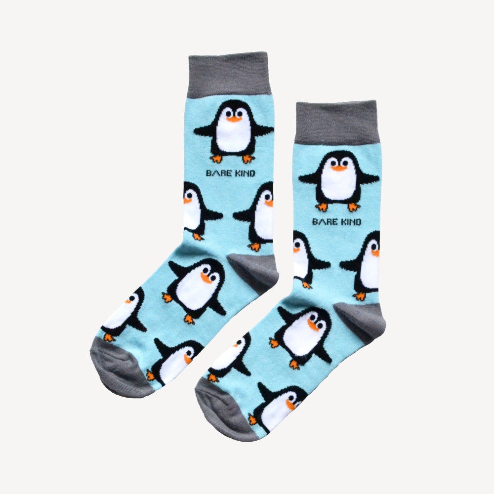 look at the ice caps as you explore arctic animal socks