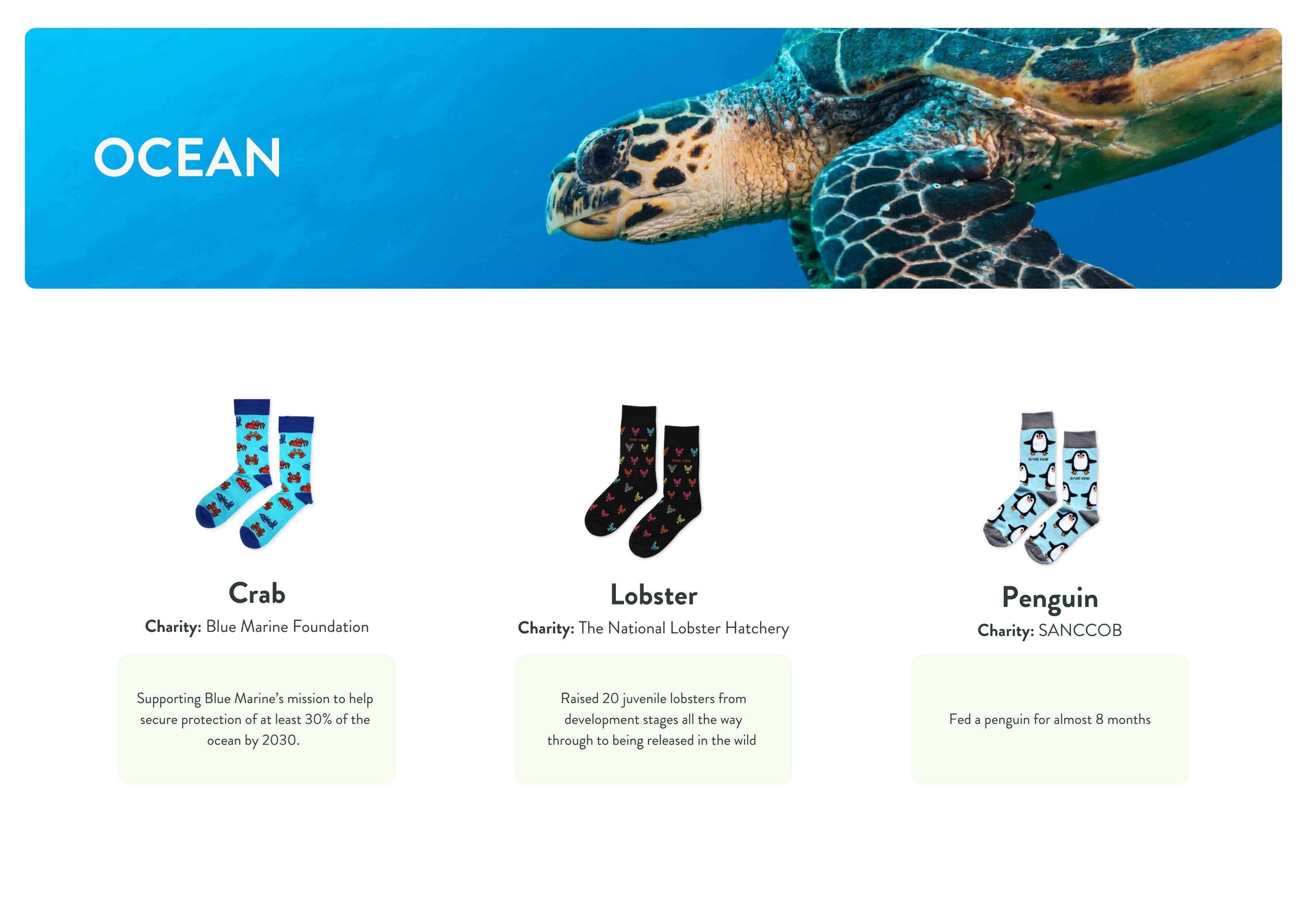 3 Sock designs