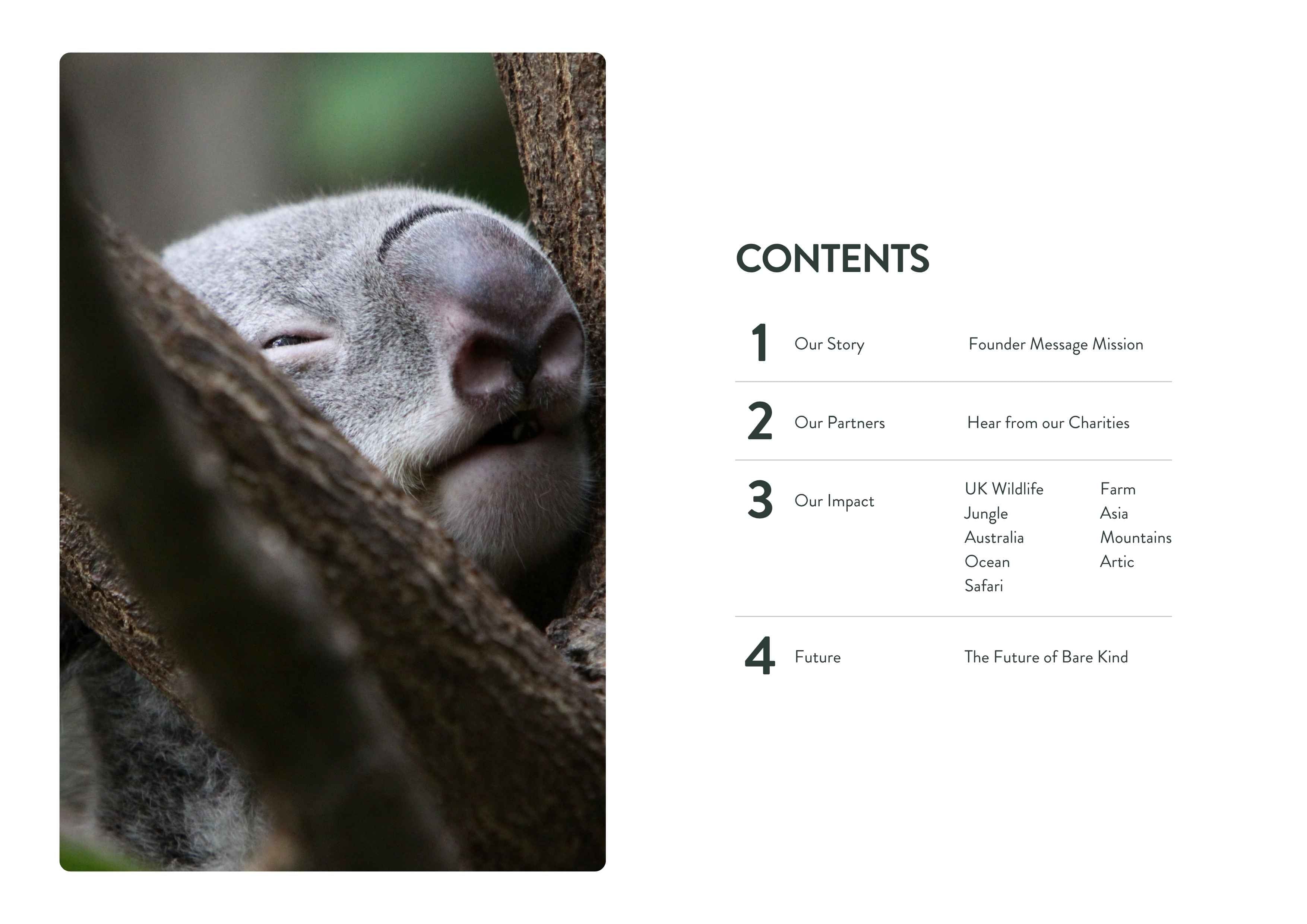 koala in a tree and a table of contents on the right.