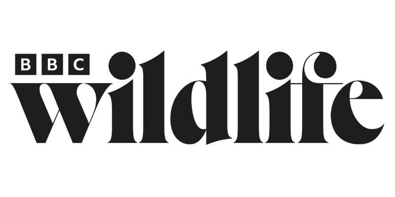 BBC Wildlife logo in black on a white background