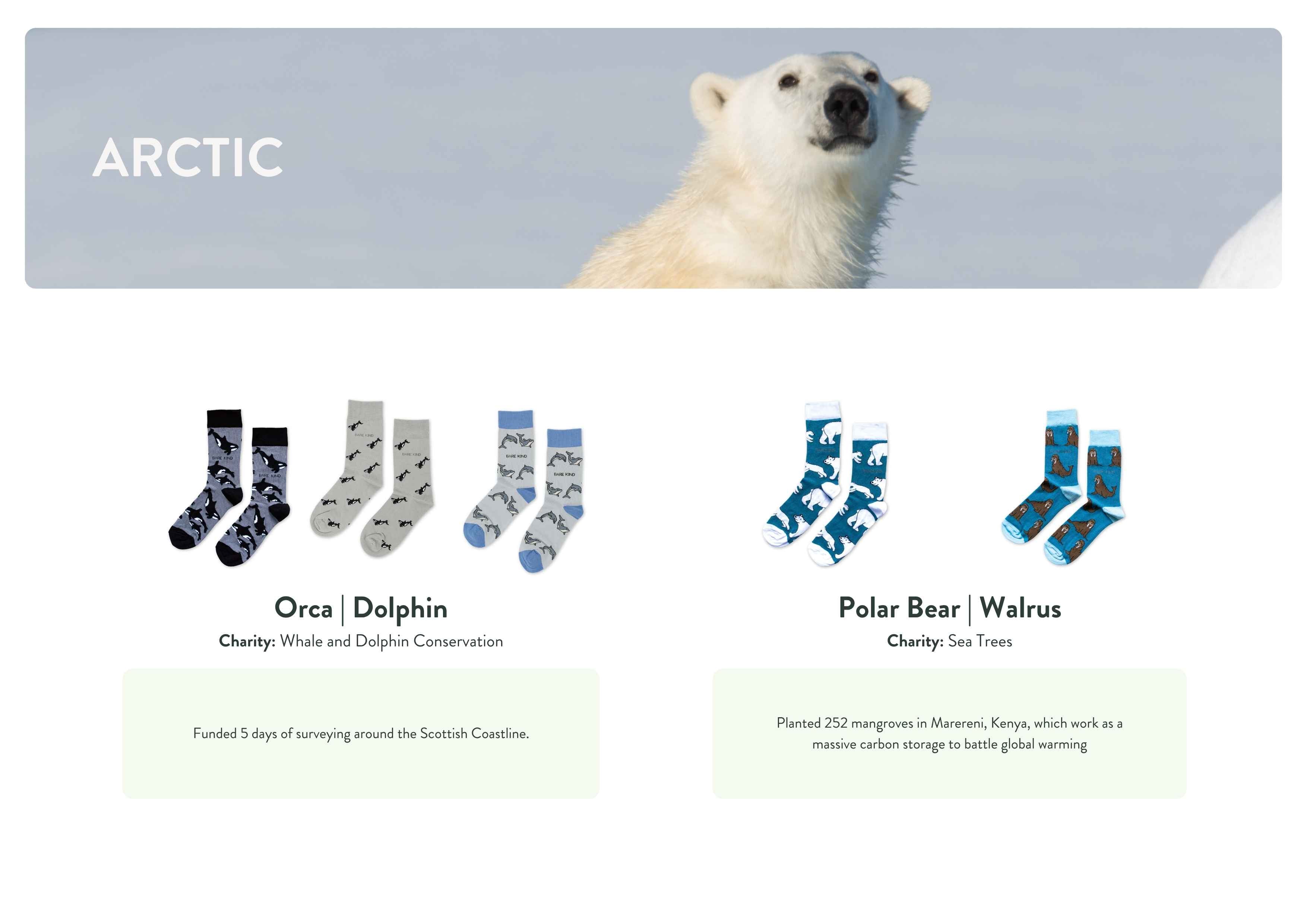 Socks with animal patterns and corresponding charities on a white background