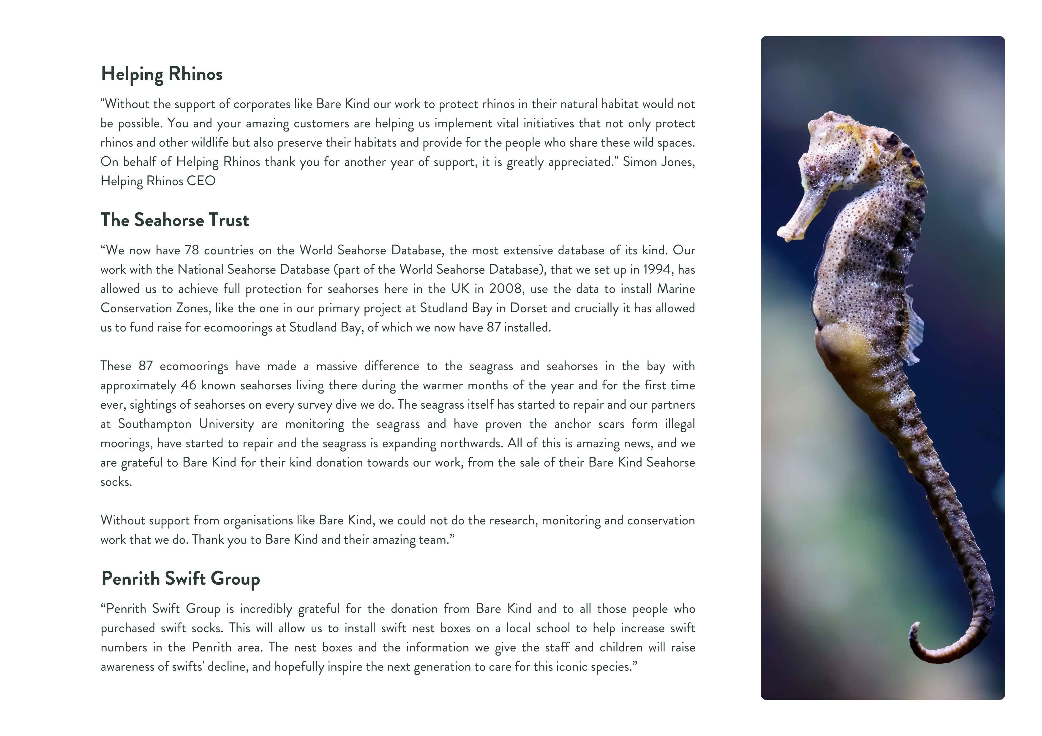 Seahorse with text about helping rhinos and the Seahorse Trust on a white background