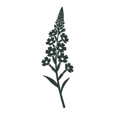 Black silhouette of a floral plant on a white background
