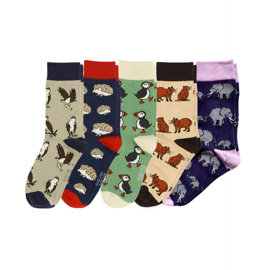 Set of five pairs of socks with animal patterns on a white background