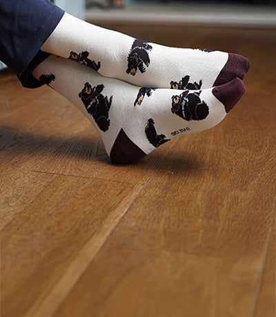 Person wearing Black Bear bamboo socks
