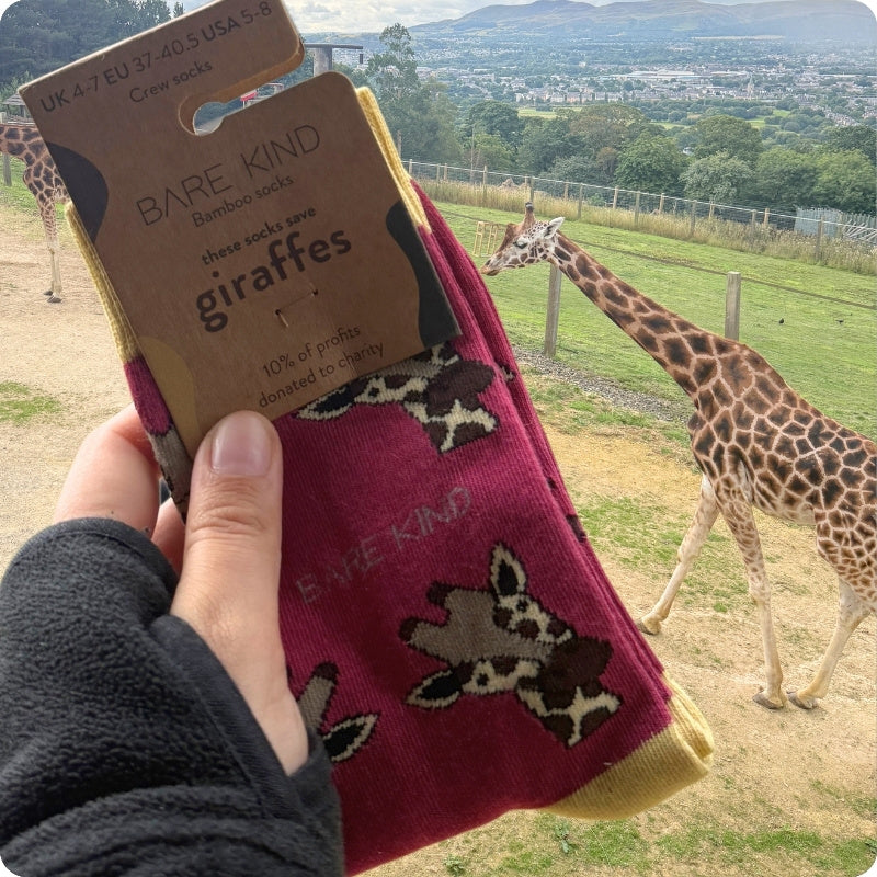 A hand holds a pair of Bare Kind bamboo socks with a giraffe pattern in front of a real outdoor zoo environment with giraffes visible in the background.