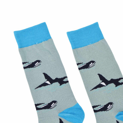 Pair of socks with orca design and blue cuffs and toes on a white background