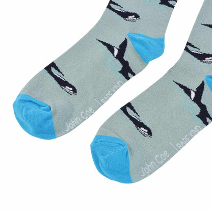 Gray socks with orca pattern and blue toes and cuffs on a white background