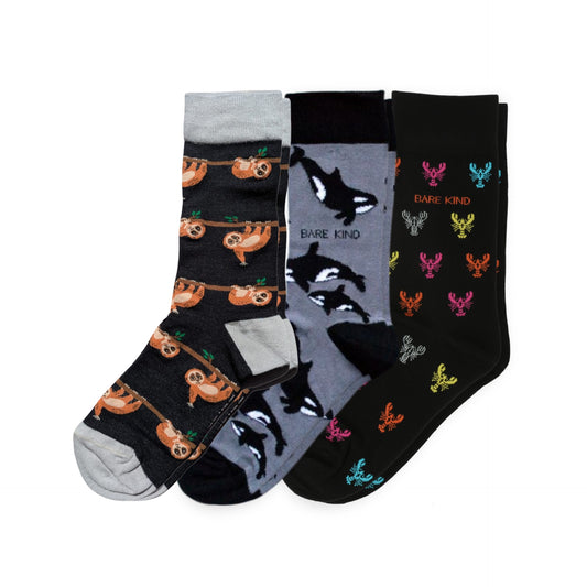 The Perfect Twilight Bundle of 3