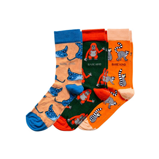flat lays of orange Lemur, Ray & Orangutan bamboo socks