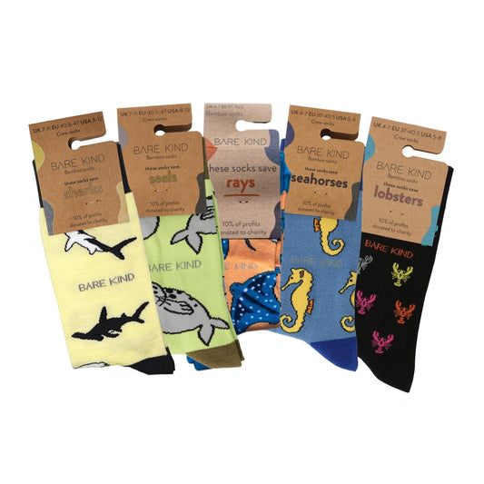 packaging flat lays of ocean rainbow bamboo socks