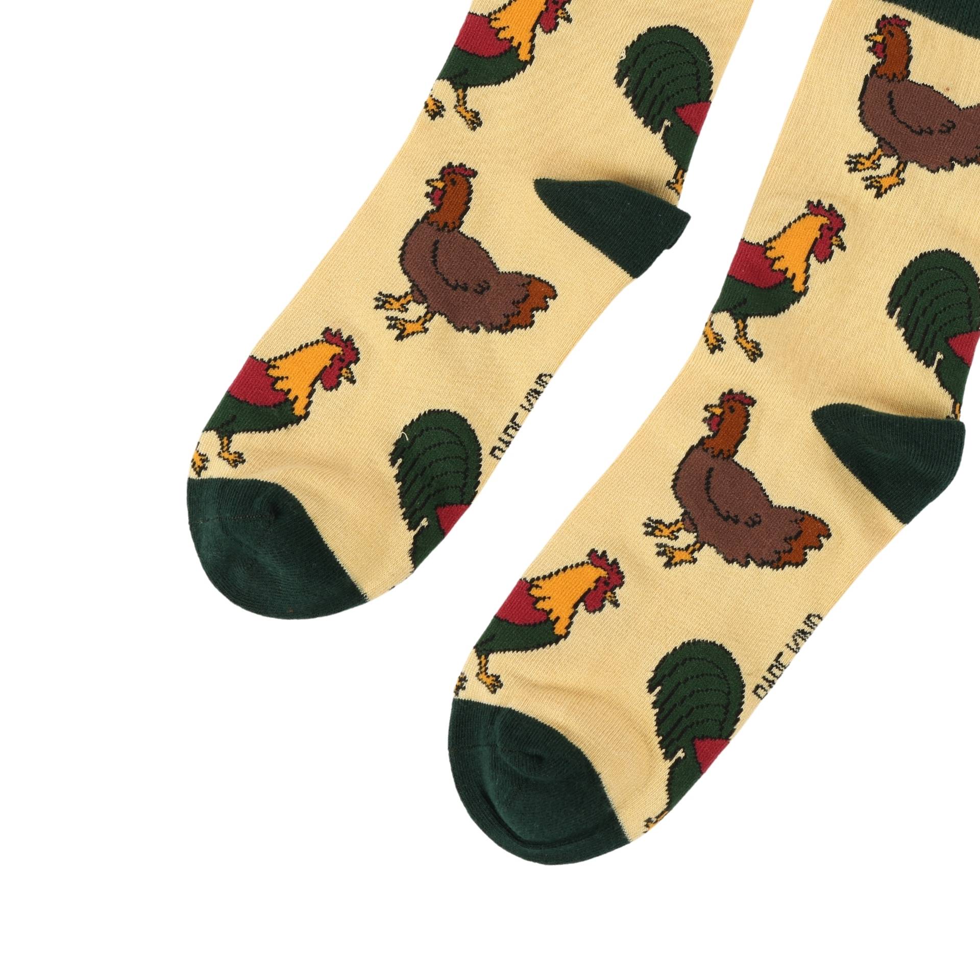 Pair of socks with chicken pattern on a white background