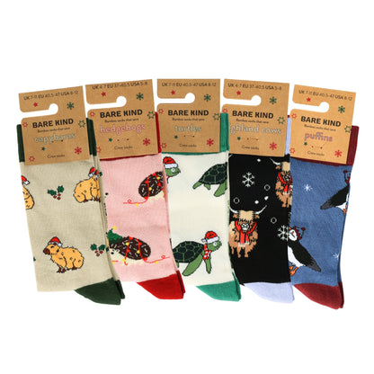 Christmas Rainbow Bundle of 5