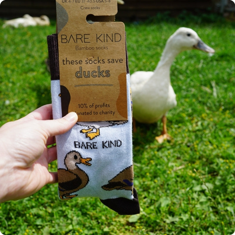 Duck bamboo sock in front of a Duck