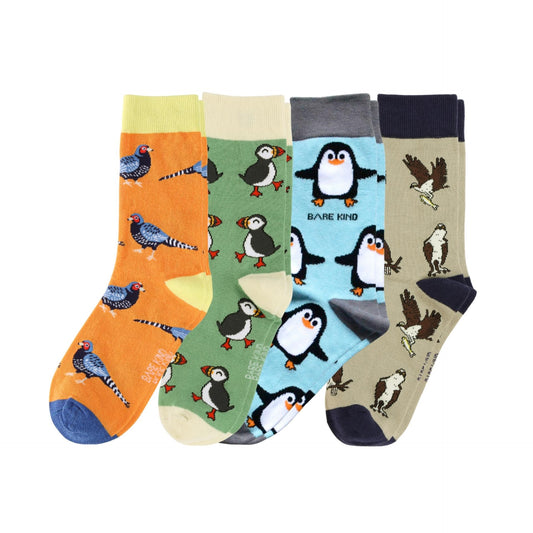 Feathered Rainbow Bundle of 4