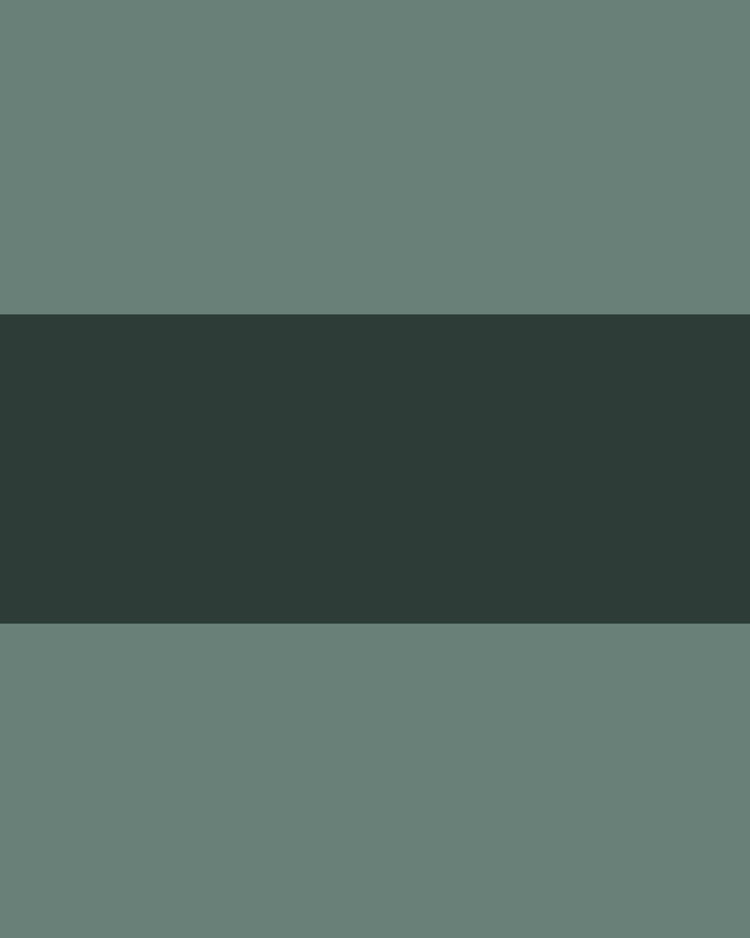 Solid dark green color swatch