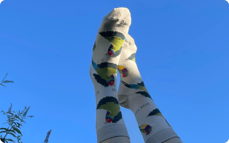 Model wearing Gouldian Finch bamboo socks