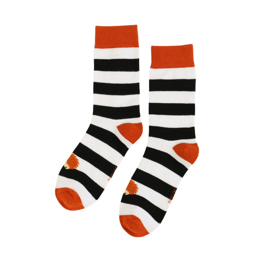 Pair of Hedgehog stripes socks on a white background