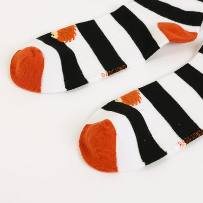 Pair of Hedgehog stripes socks on a white background