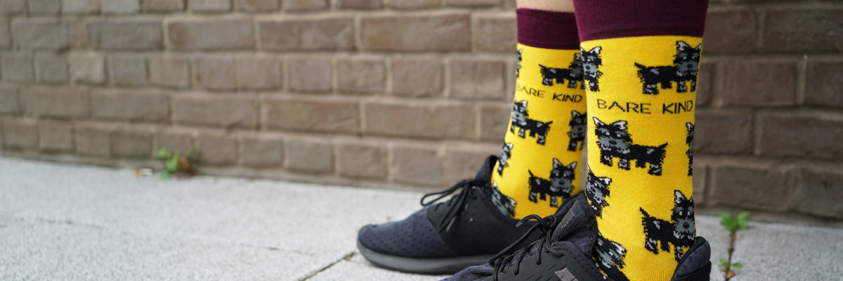 Model wearing yellow highland dog bamboo socks