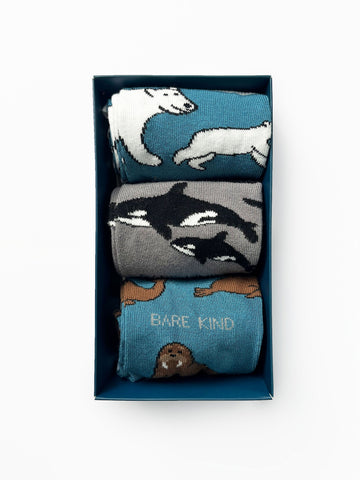 Arctic Animals Bamboo Socks Gift Box of 3