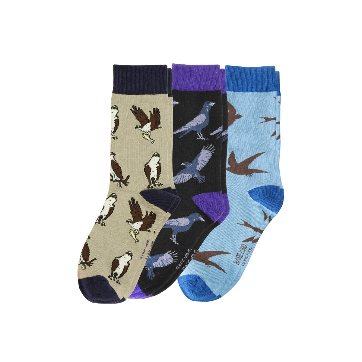 Avian Adventure Bundle 3
