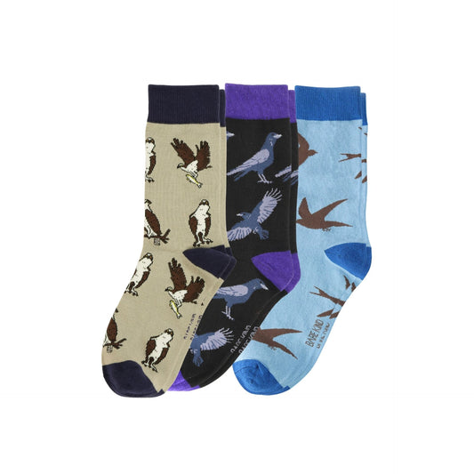 Three pairs of socks with bird patterns on a white background