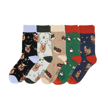 The Christmas Rainbow Bundle of 5

