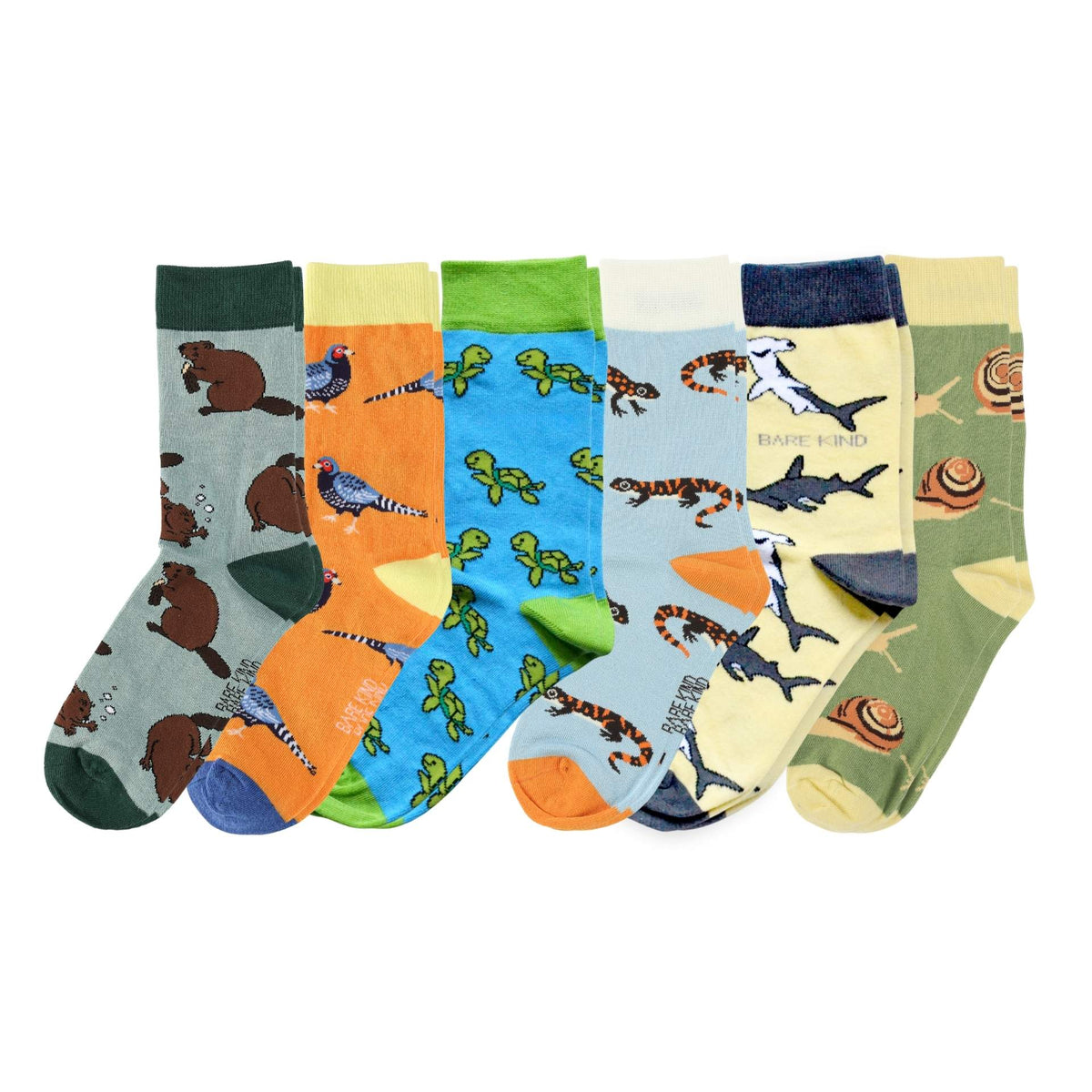 Classes Bundle 6