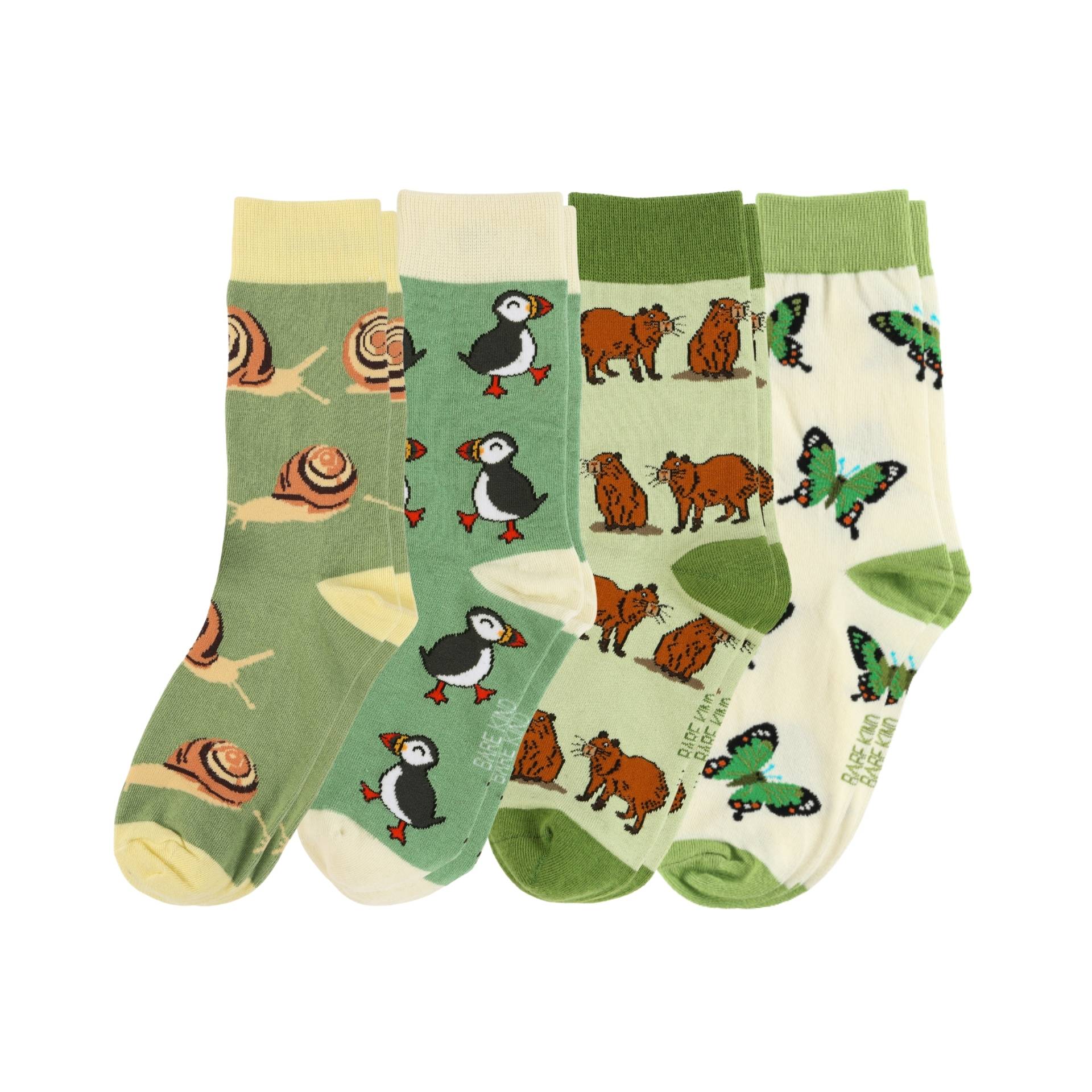 The Evergreen Bundle of 4