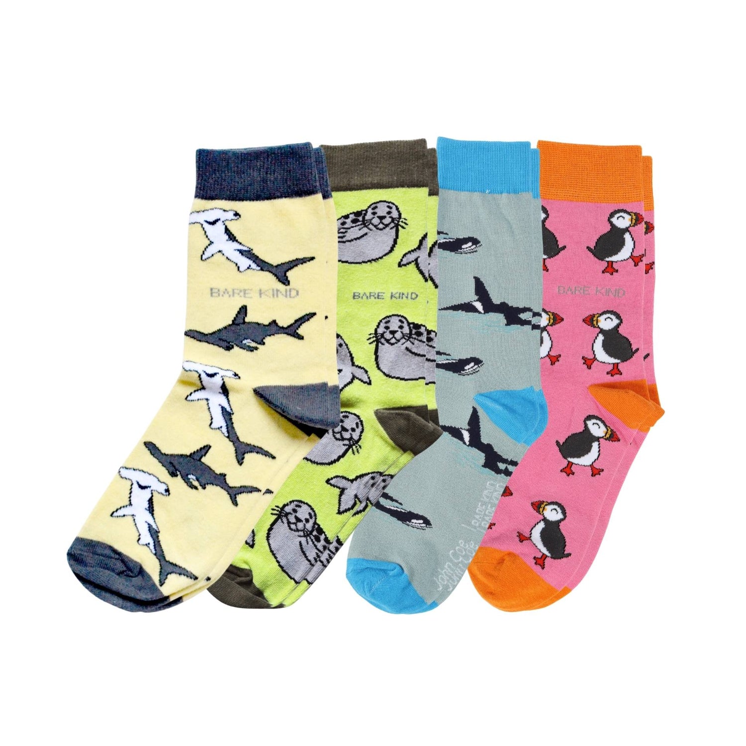 The Ocean Rainbow Bundle of 4