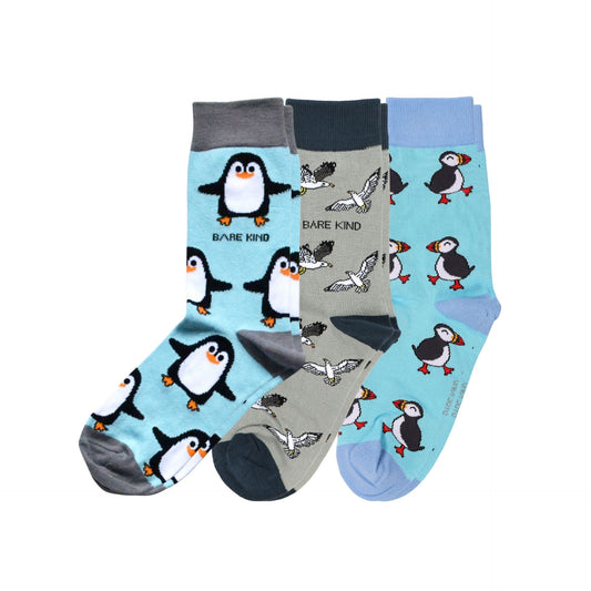 penguins, seagulls and puffins socks