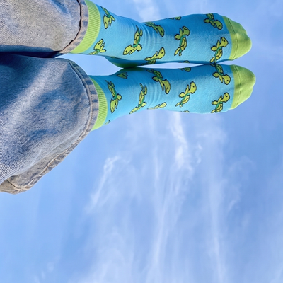 Blue socks with green accents and turtle design worn by a person against a blue sky background