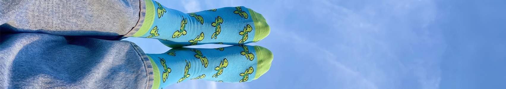 Pair of blue socks with green accents and turtle design on a blue background