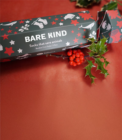 Bare Kind sock packaging with holly leaves and berries on a red background